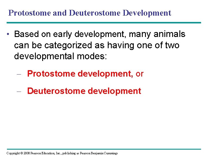 Protostome and Deuterostome Development • Based on early development, many animals can be categorized Protostome and Deuterostome Development • Based on early development, many animals can be categorized