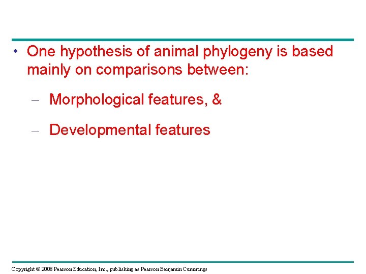 • One hypothesis of animal phylogeny is based mainly on comparisons between: – • One hypothesis of animal phylogeny is based mainly on comparisons between: –