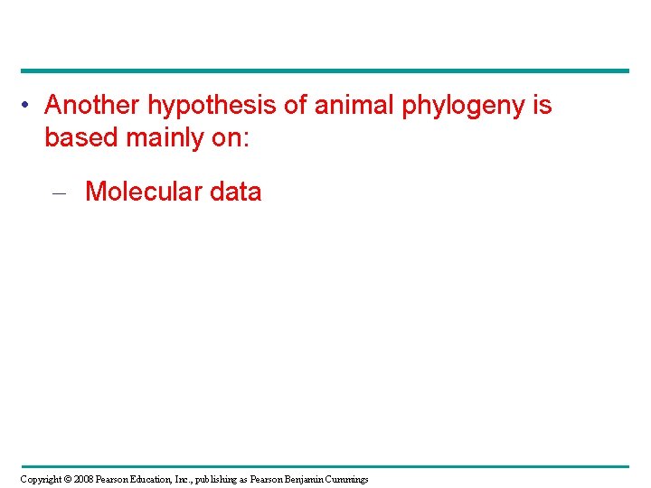 • Another hypothesis of animal phylogeny is based mainly on: – Molecular data • Another hypothesis of animal phylogeny is based mainly on: – Molecular data
