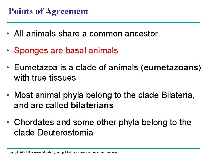 Points of Agreement • All animals share a common ancestor • Sponges are basal Points of Agreement • All animals share a common ancestor • Sponges are basal