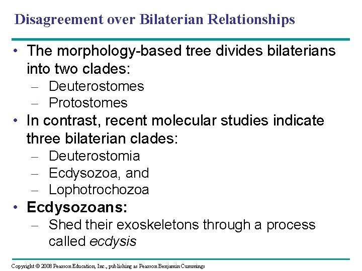 Disagreement over Bilaterian Relationships • The morphology-based tree divides bilaterians into two clades: – Disagreement over Bilaterian Relationships • The morphology-based tree divides bilaterians into two clades: –