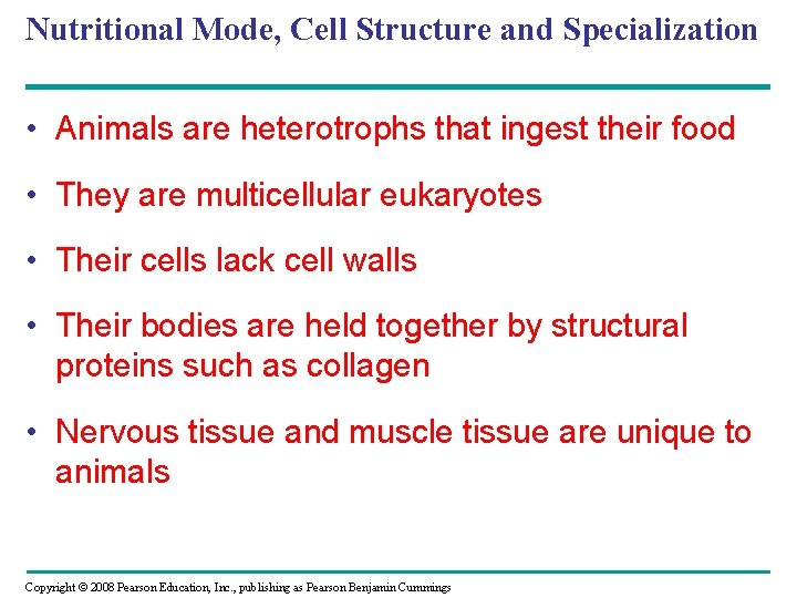 Nutritional Mode, Cell Structure and Specialization • Animals are heterotrophs that ingest their food Nutritional Mode, Cell Structure and Specialization • Animals are heterotrophs that ingest their food