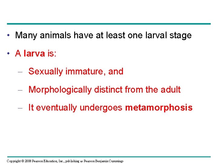 • Many animals have at least one larval stage • A larva is: • Many animals have at least one larval stage • A larva is: