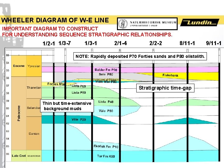 WHEELER DIAGRAM OF W-E LINE IMPORTANT DIAGRAM TO CONSTRUCT FOR UNDERSTANDING SEQUENCE STRATIGRAPHIC RELATIONSHIPS.