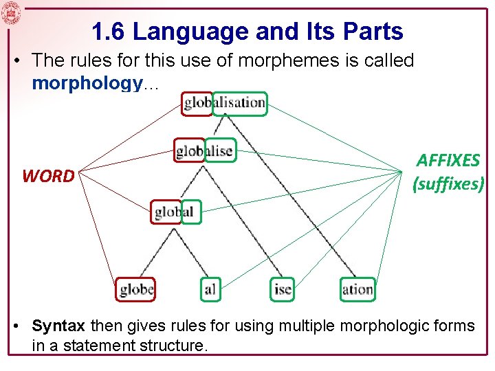 1. 6 Language and Its Parts • The rules for this use of morphemes
