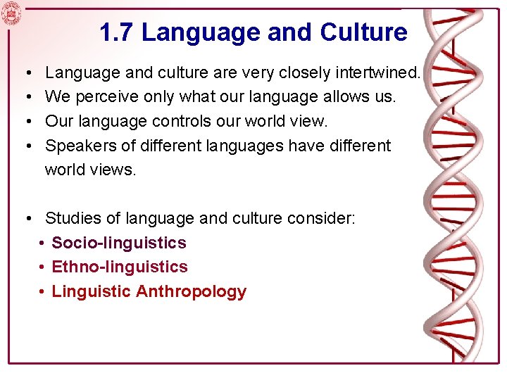 1. 7 Language and Culture • • Language and culture are very closely intertwined.
