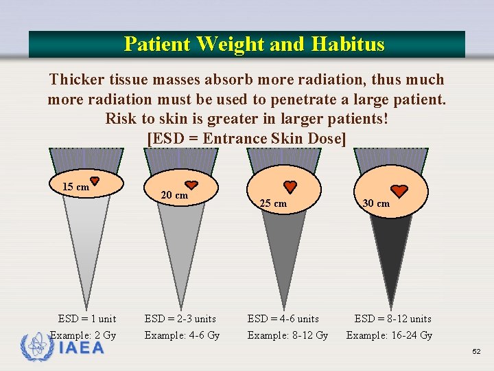 Patient Weight and Habitus Thicker tissue masses absorb more radiation, thus much more radiation