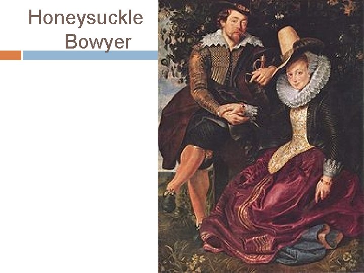 Honeysuckle Bowyer 
