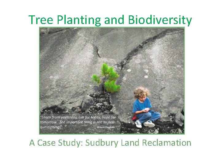 Tree Planting and Biodiversity A Case Study: Sudbury Land Reclamation 