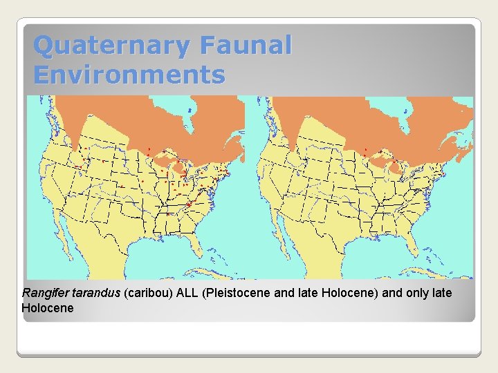 Quaternary Faunal Environments Rangifer tarandus (caribou) ALL (Pleistocene and late Holocene) and only late