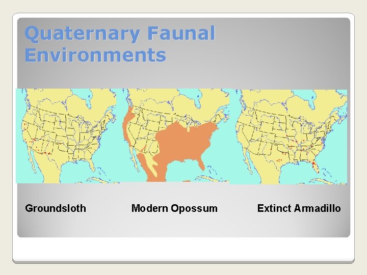 Quaternary Faunal Environments Groundsloth Modern Opossum Extinct Armadillo 