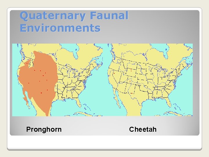 Quaternary Faunal Environments Pronghorn Cheetah Quaternary Faunal Environments Pronghorn Cheetah