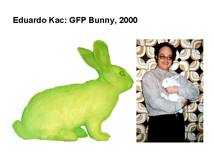 Eduardo Kac: GFP Bunny, 2000 