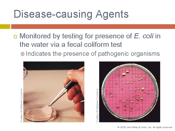 Disease-causing Agents Monitored by testing for presence of E. coli in the water via
