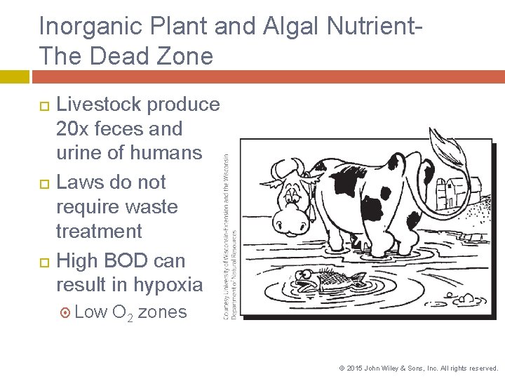 Inorganic Plant and Algal Nutrient. The Dead Zone Livestock produce 20 x feces and