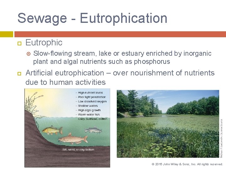 Sewage - Eutrophication Eutrophic Slow-flowing stream, lake or estuary enriched by inorganic plant and