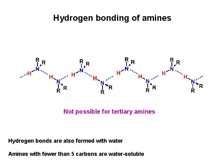 Hydrogen bonding of amines Not possible for tertiary amines Hydrogen bonds are also formed