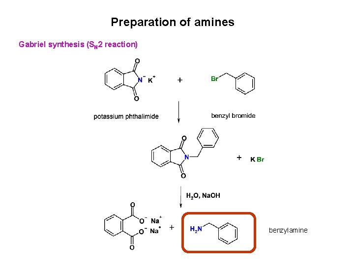 Preparation of amines Gabriel synthesis (SN 2 reaction) benzylamine 