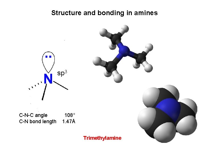 Structure and bonding in amines sp 3 C-N-C angle C-N bond length 108° 1.