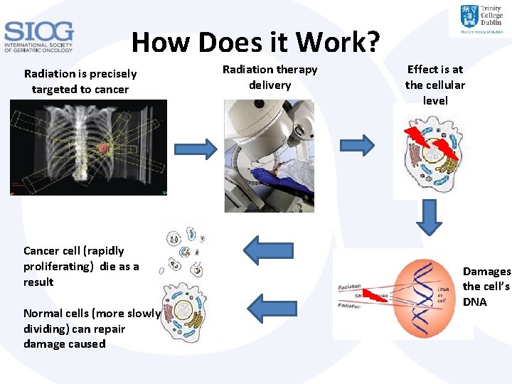 How Does it Work? Radiation is precisely targeted to cancer Cancer cell (rapidly proliferating)