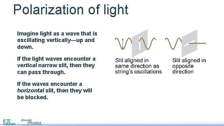 Polarization of light Imagine light as a wave that is oscillating vertically—up and down.