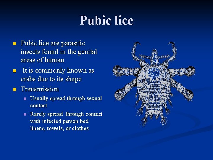 Pubic lice n n n Pubic lice are parasitic insects found in the genital