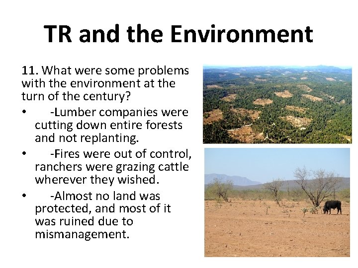 TR and the Environment 11. What were some problems with the environment at the