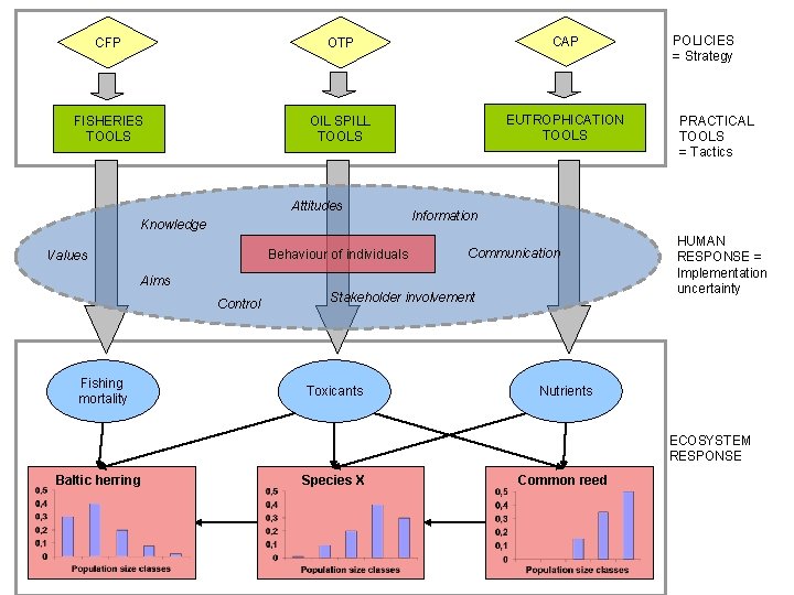 CFP OTP CAP FISHERIES TOOLS OIL SPILL TOOLS EUTROPHICATION TOOLS Attitudes Knowledge Behaviour of