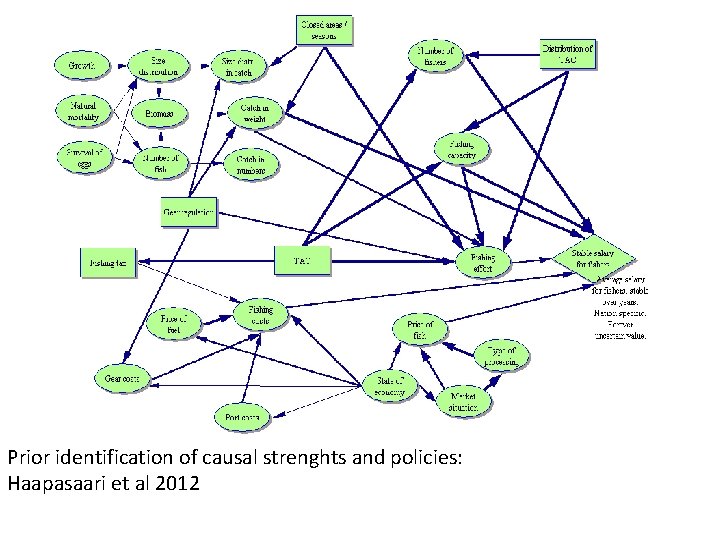 Prior identification of causal strenghts and policies: Haapasaari et al 2012 
