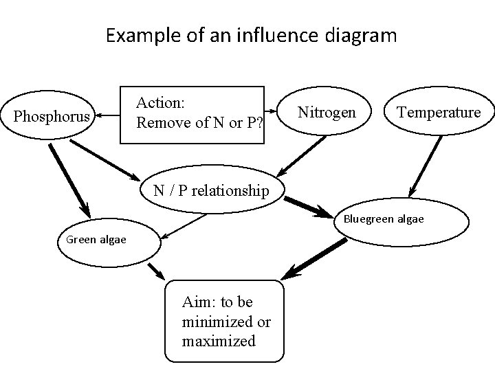 Example of an influence diagram Phosphorus Action: Remove of N or P? Nitrogen Temperature