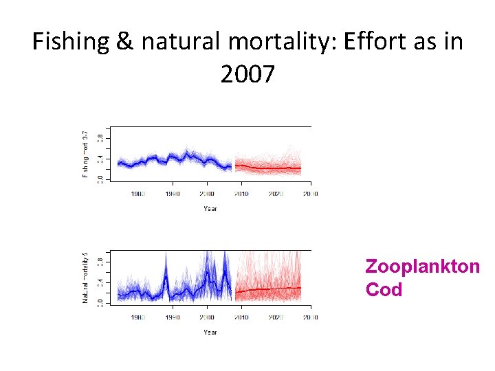 Fishing & natural mortality: Effort as in 2007 Zooplankton Cod 