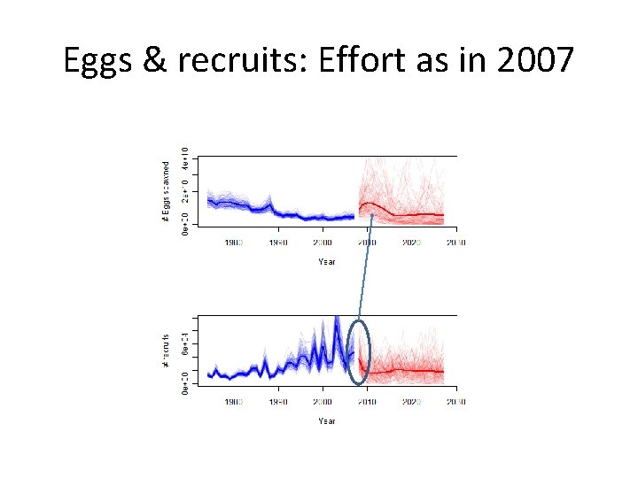 Eggs & recruits: Effort as in 2007 