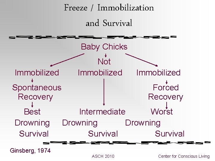 Freeze / Immobilization and Survival Baby Chicks Not Immobilized Spontaneous Recovery Forced Recovery Best Freeze / Immobilization and Survival Baby Chicks Not Immobilized Spontaneous Recovery Forced Recovery Best