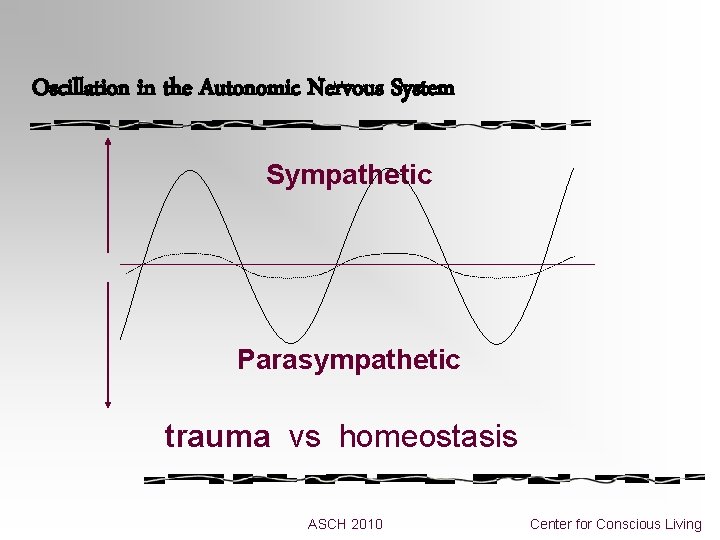  Oscillation in the Autonomic Nervous System Sympathetic Parasympathetic trauma vs homeostasis ASCH 2010