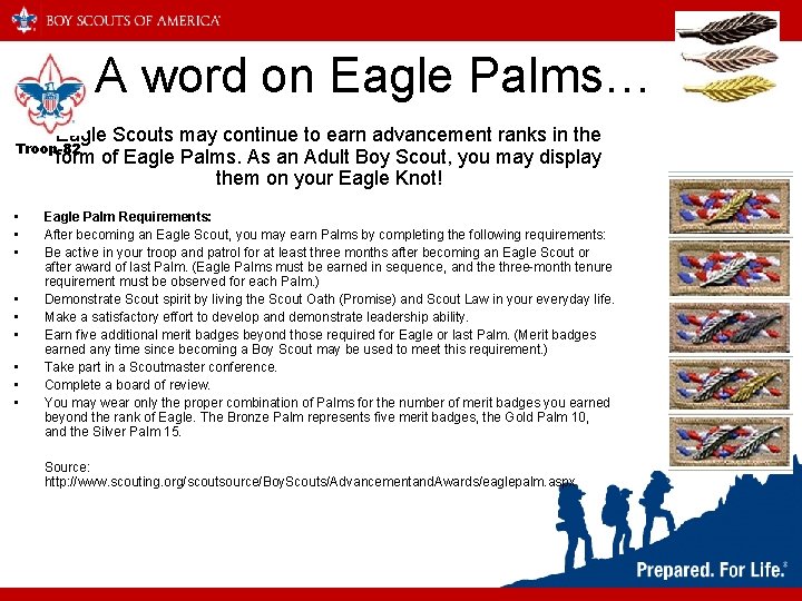 A word on Eagle Palms… Eagle Scouts may continue to earn advancement ranks in