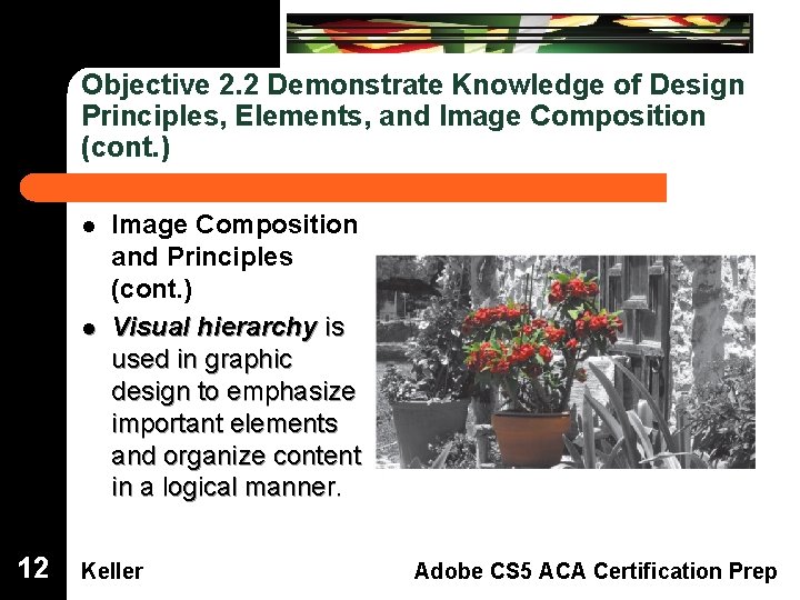 Objective 2. 2 Demonstrate Knowledge of Design Principles, Elements, and Image Composition (cont. )