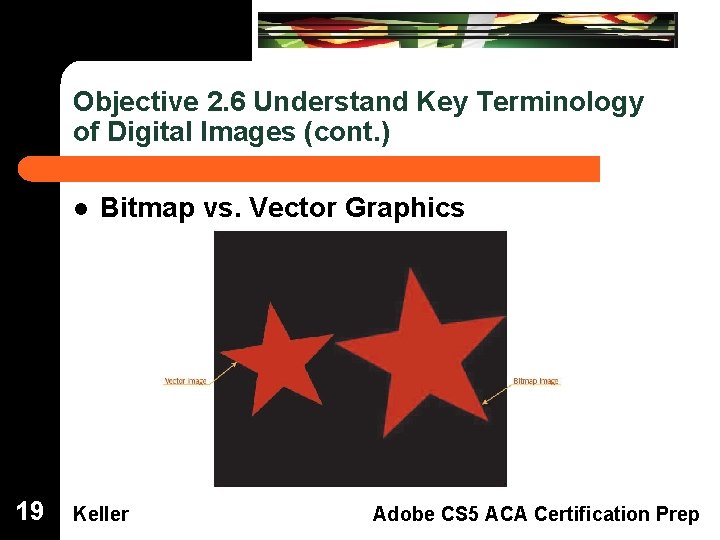 Objective 2. 6 Understand Key Terminology of Digital Images (cont. ) Bitmap vs. Vector