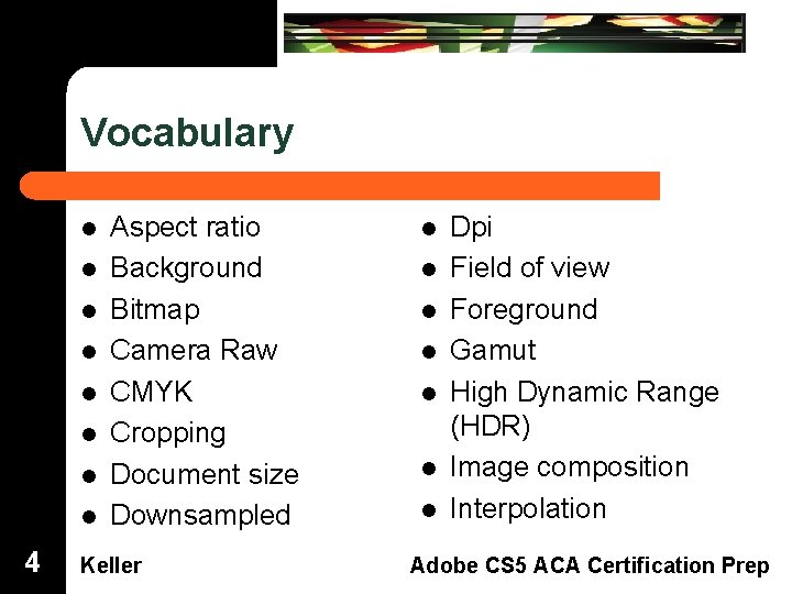 Vocabulary Aspect ratio Background Bitmap Camera Raw CMYK Cropping Document size Downsampled Dreamweaver Domain