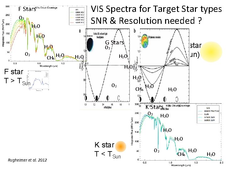 VIS Spectra for Target Star types SNR & Resolution needed ? F Stars O