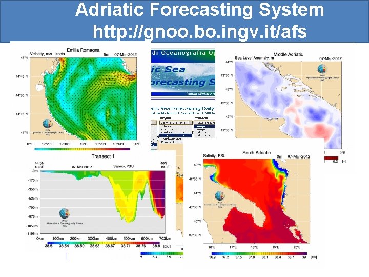 Adriatic Forecasting System http: //gnoo. bo. ingv. it/afs 