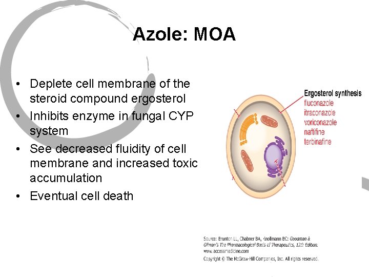 Azole: MOA • Deplete cell membrane of the steroid compound ergosterol • Inhibits enzyme