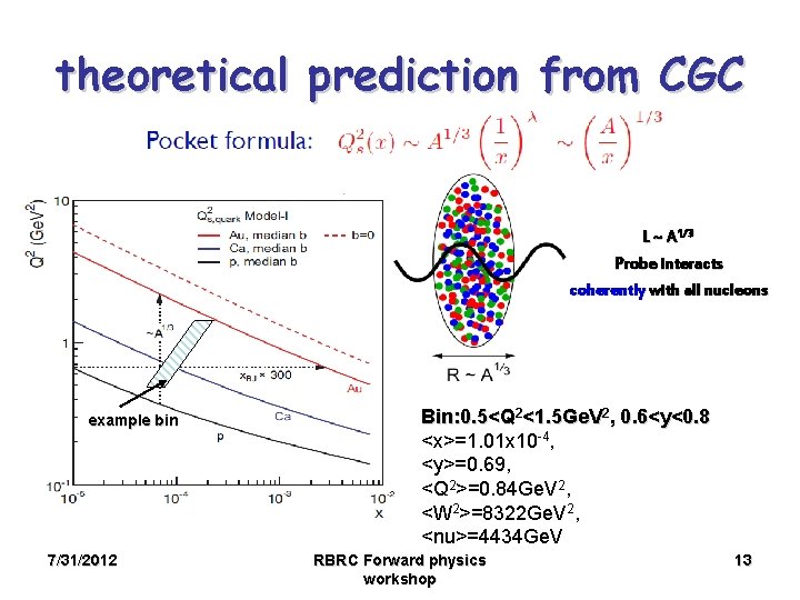 theoretical prediction from CGC L ~ A 1/3 Probe interacts coherently with all nucleons