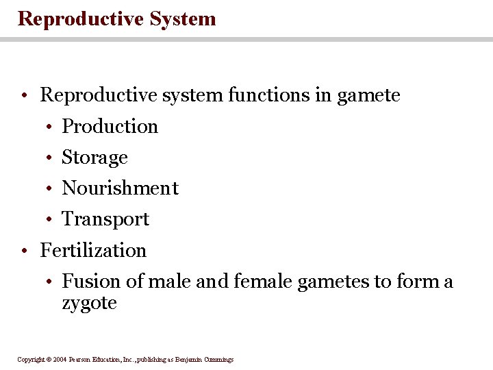 Reproductive System • Reproductive system functions in gamete • Production • Storage • Nourishment Reproductive System • Reproductive system functions in gamete • Production • Storage • Nourishment