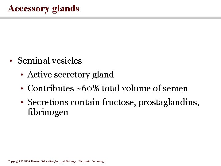 Accessory glands • Seminal vesicles • Active secretory gland • Contributes ~60% total volume Accessory glands • Seminal vesicles • Active secretory gland • Contributes ~60% total volume