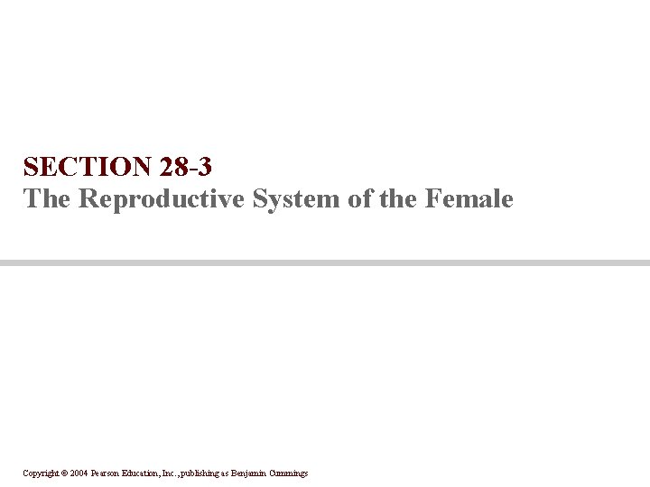 SECTION 28 -3 The Reproductive System of the Female Copyright © 2004 Pearson Education, SECTION 28 -3 The Reproductive System of the Female Copyright © 2004 Pearson Education,