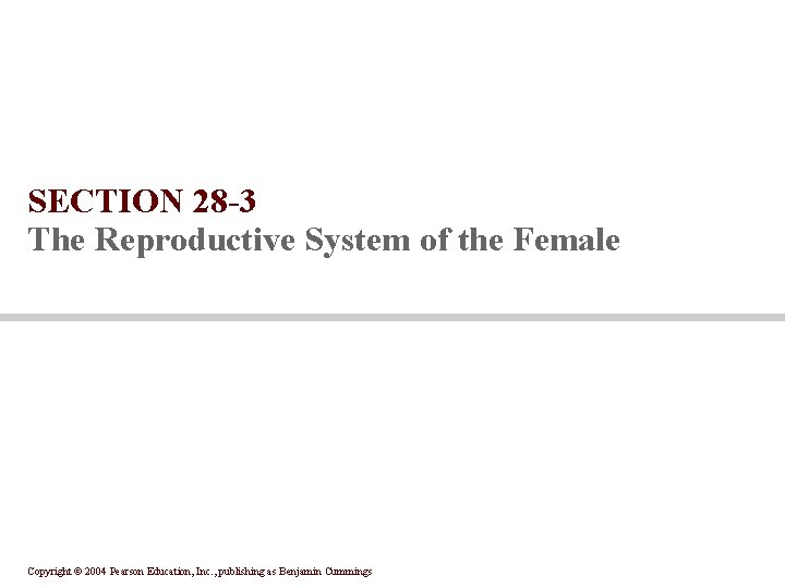 SECTION 28 -3 The Reproductive System of the Female Copyright © 2004 Pearson Education,