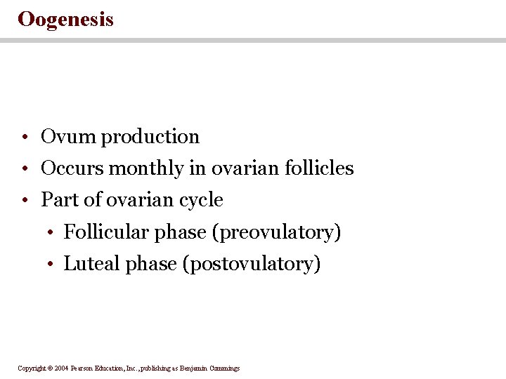 Oogenesis • Ovum production • Occurs monthly in ovarian follicles • Part of ovarian Oogenesis • Ovum production • Occurs monthly in ovarian follicles • Part of ovarian