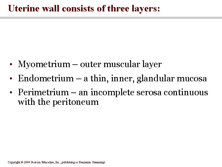 Uterine wall consists of three layers: • Myometrium – outer muscular layer • Endometrium Uterine wall consists of three layers: • Myometrium – outer muscular layer • Endometrium