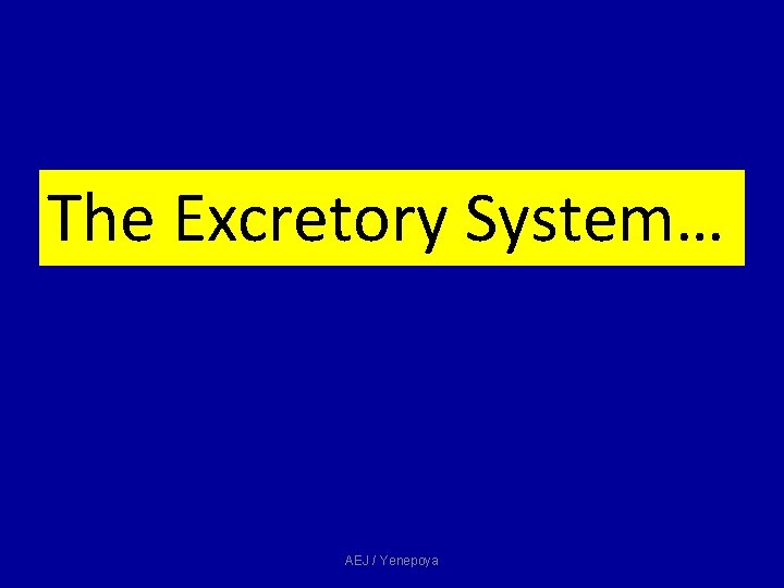 The Excretory System… AEJ / Yenepoya The Excretory System… AEJ / Yenepoya