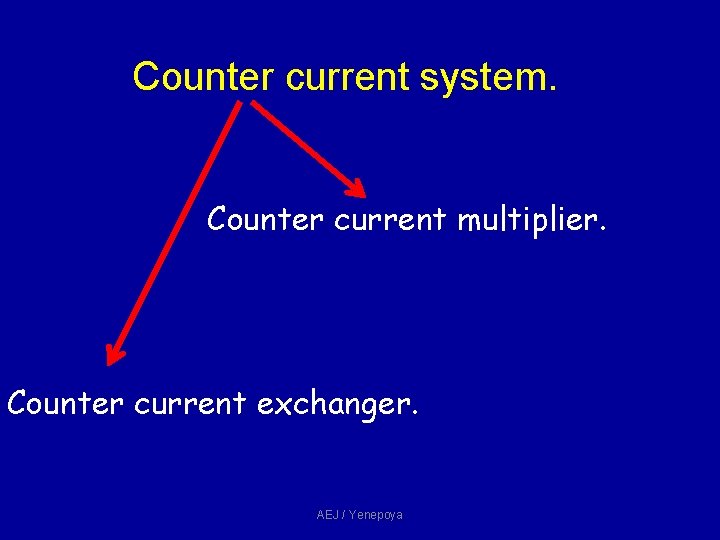 Counter current system. Counter current multiplier. Counter current exchanger. AEJ / Yenepoya Counter current system. Counter current multiplier. Counter current exchanger. AEJ / Yenepoya